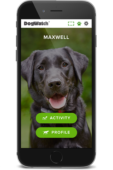 DogWatch of Central Ontario, Port Sydney, Ontario | SmartFence WebApp Image